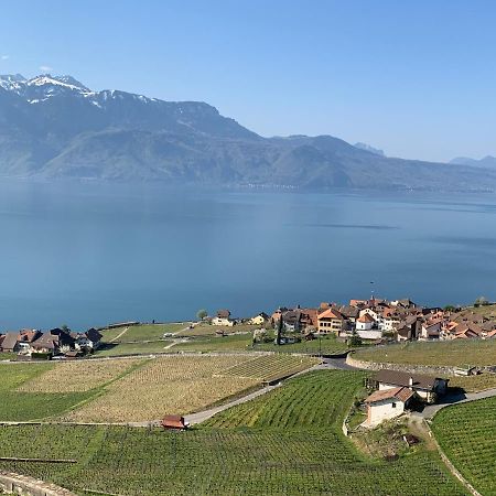 Rivaz La Gremillette Gourmande Lavaux 아파트 외부 사진