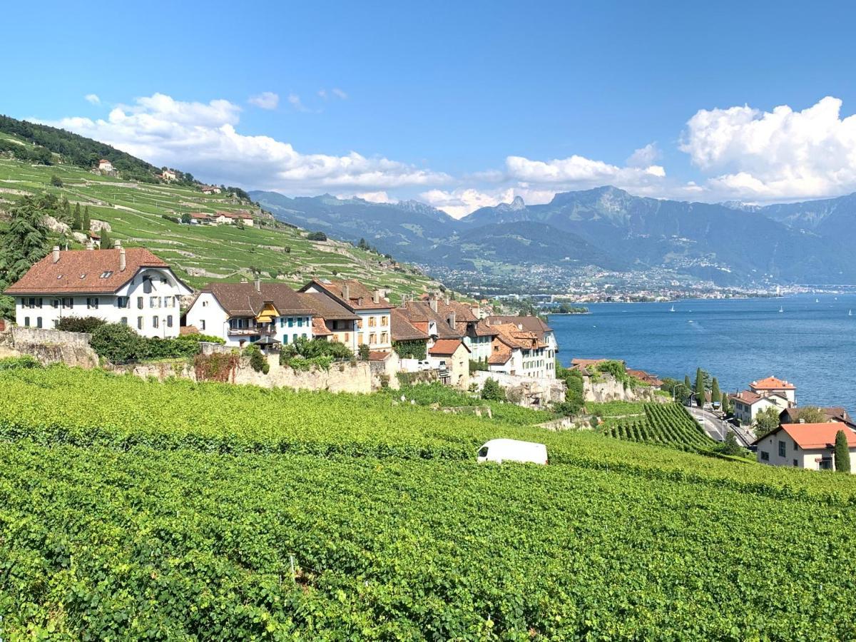 Rivaz La Gremillette Gourmande Lavaux 아파트 외부 사진