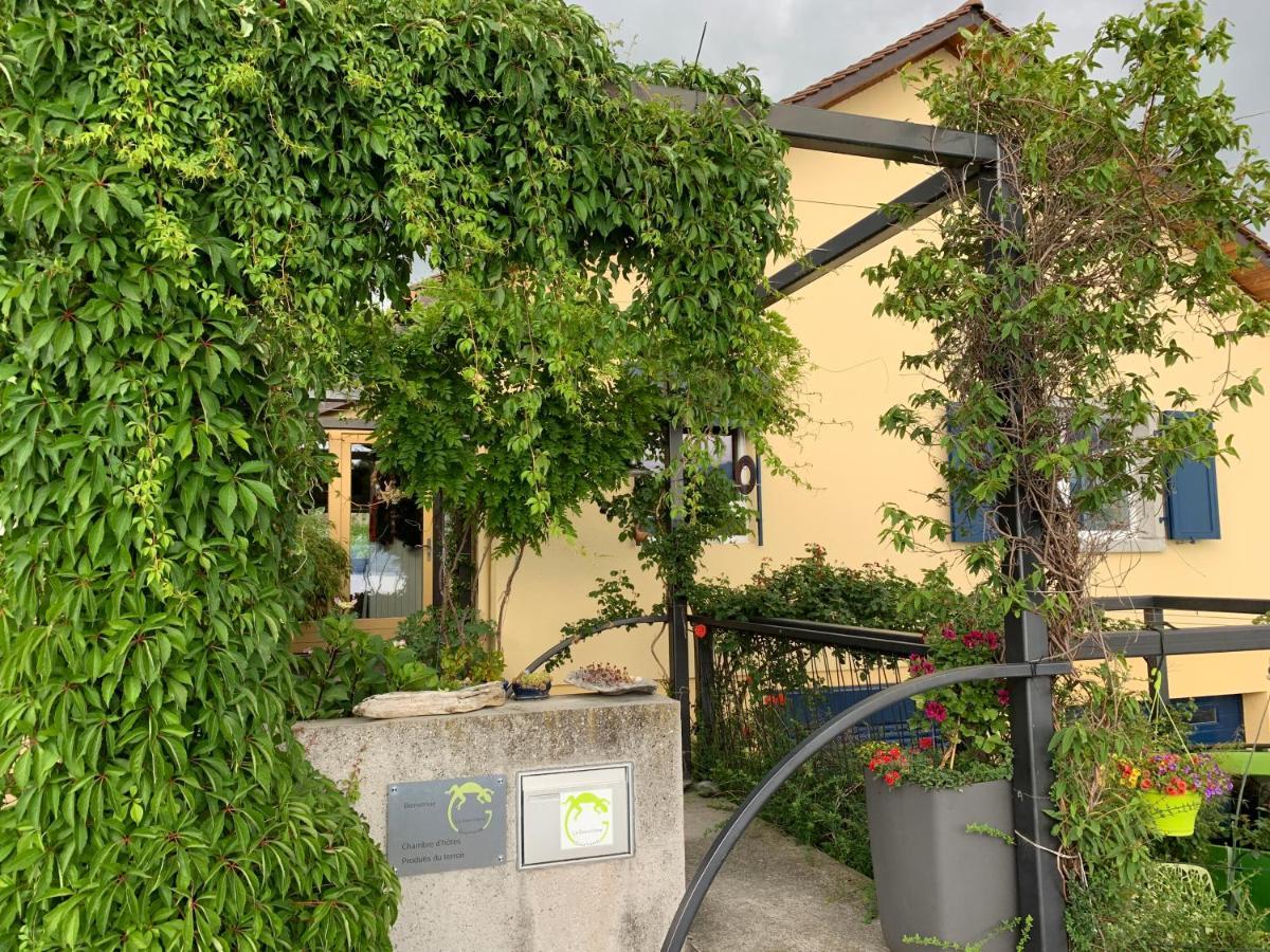 Rivaz La Gremillette Gourmande Lavaux 아파트 외부 사진