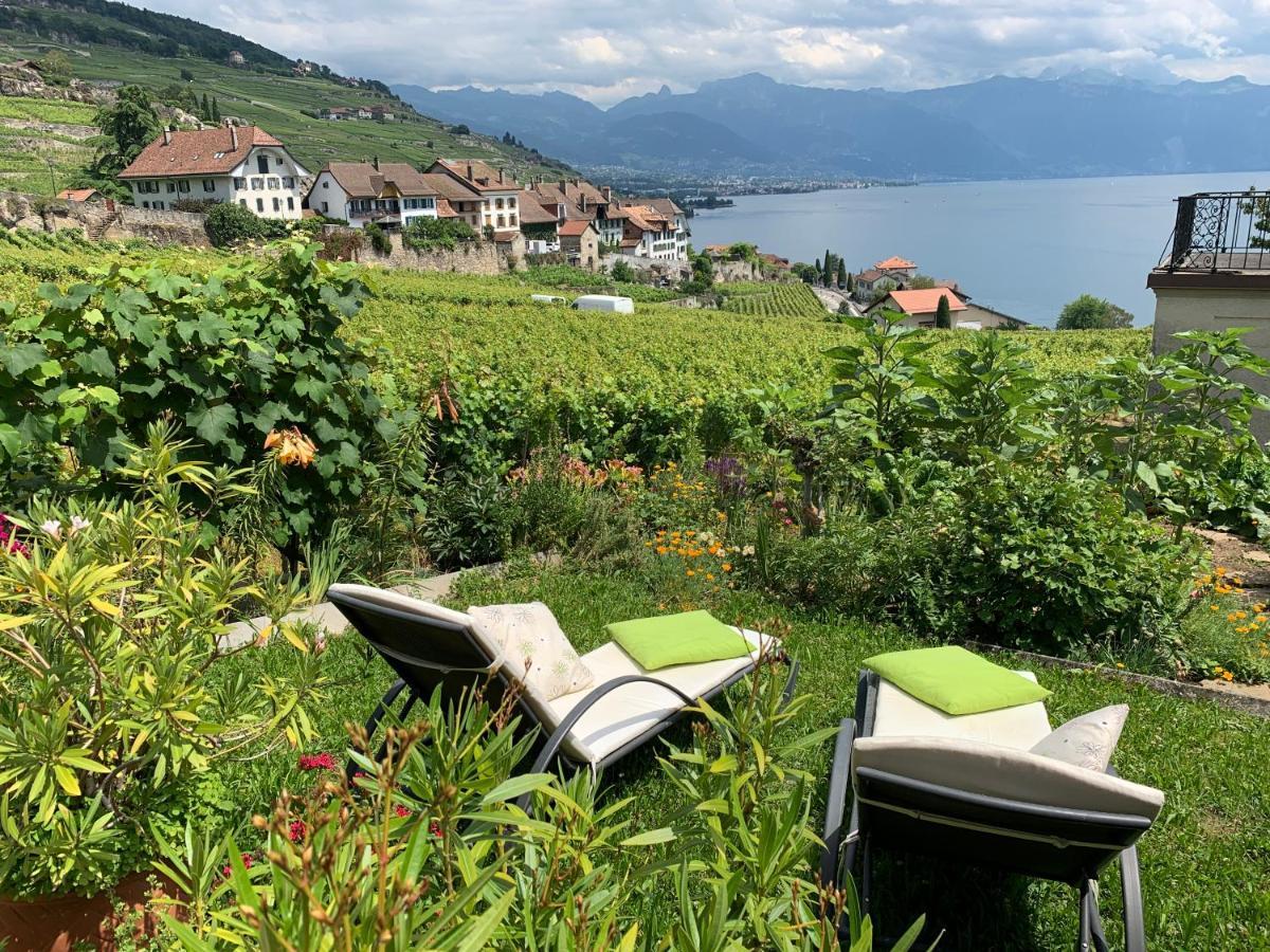 Rivaz La Gremillette Gourmande Lavaux 아파트 외부 사진