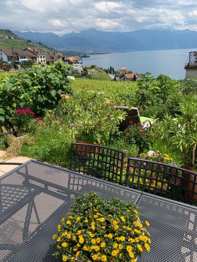 Rivaz La Gremillette Gourmande Lavaux 아파트 외부 사진