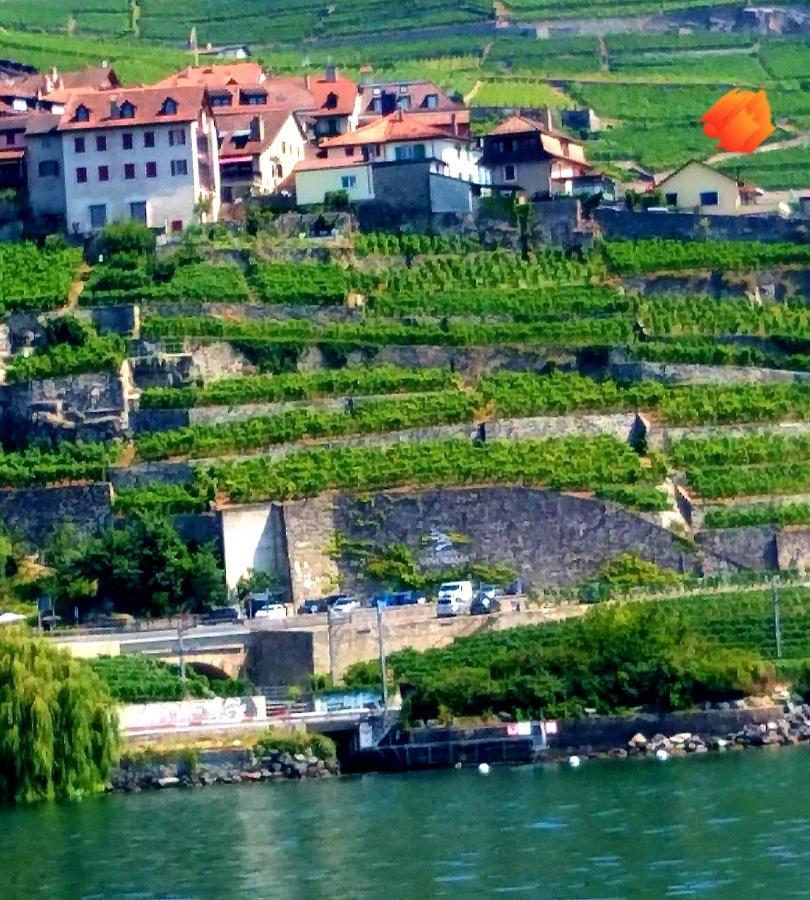 Rivaz La Gremillette Gourmande Lavaux 아파트 외부 사진