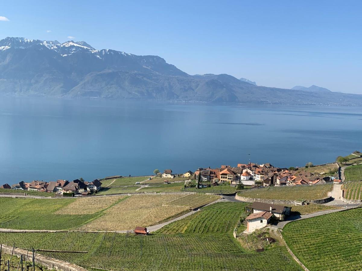 Rivaz La Gremillette Gourmande Lavaux 아파트 외부 사진