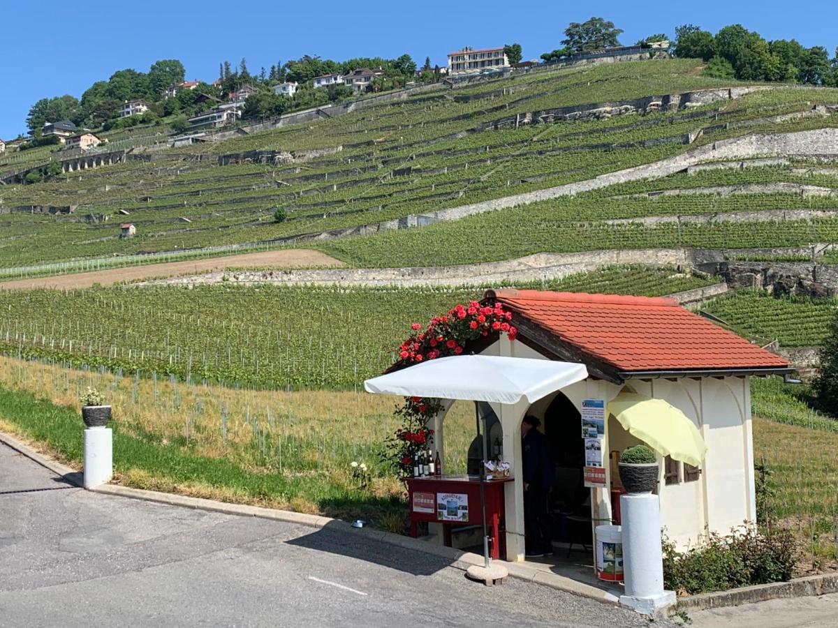 Rivaz La Gremillette Gourmande Lavaux 아파트 외부 사진