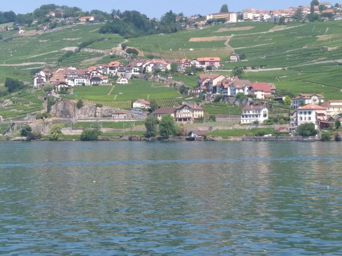 Rivaz La Gremillette Gourmande Lavaux 아파트 외부 사진