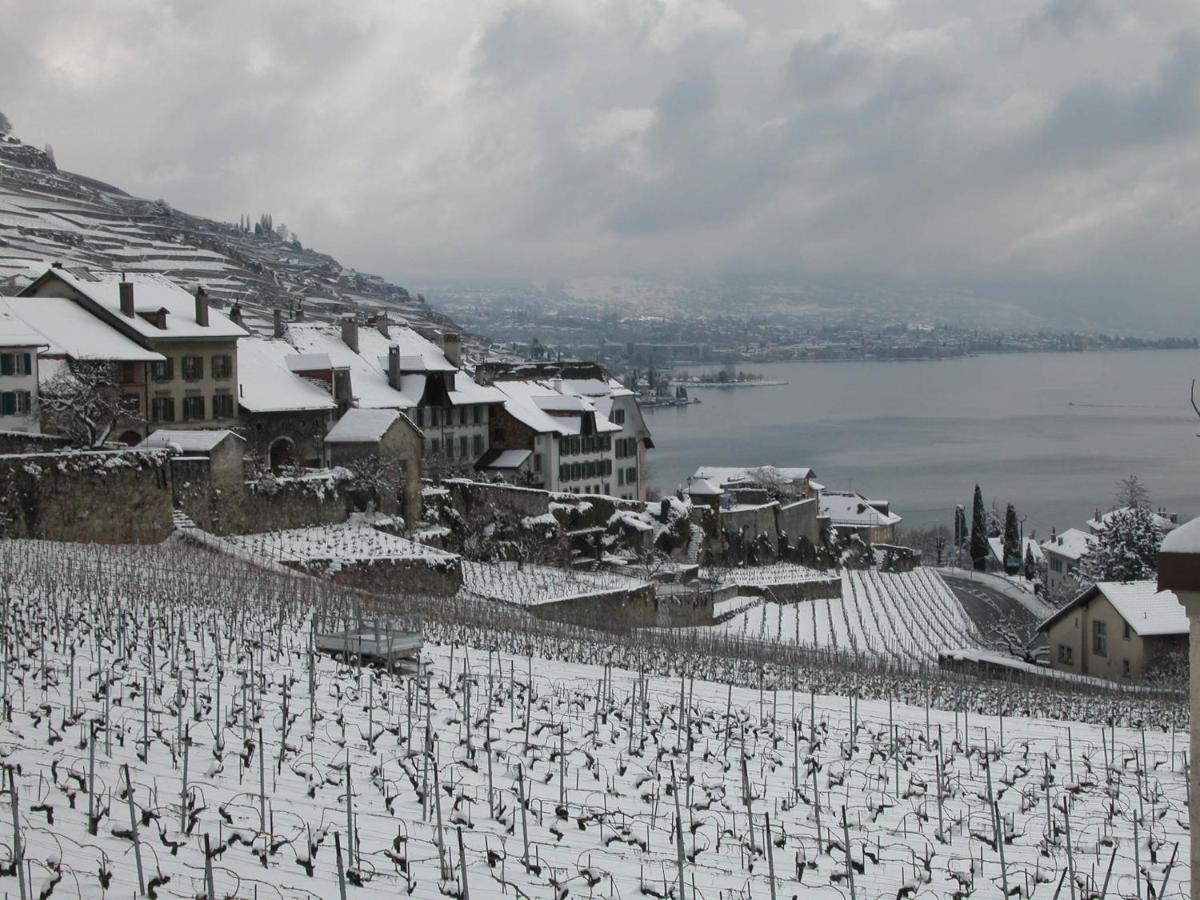 Rivaz La Gremillette Gourmande Lavaux 아파트 외부 사진
